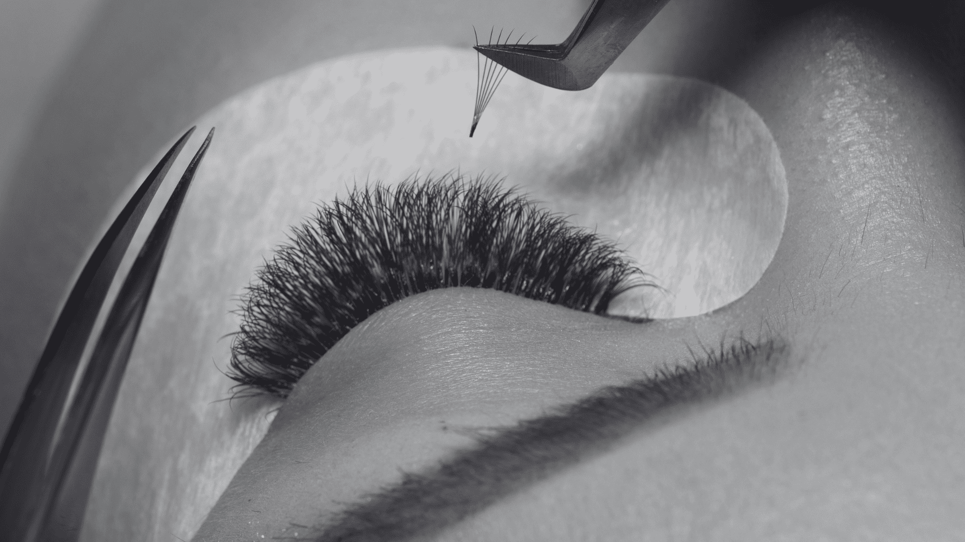 Close-up of eyelash extension application with tweezers, focusing on precision and detail.